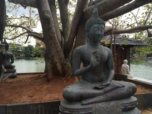 Buddha statue and big tree